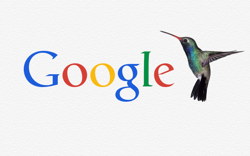 Google Algoritma Hummingbird